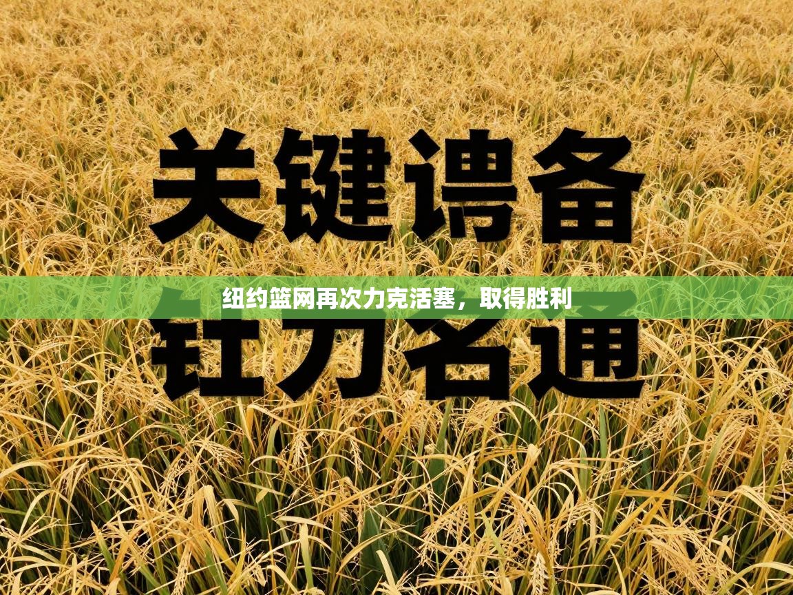 纽约篮网再次力克活塞，取得胜利